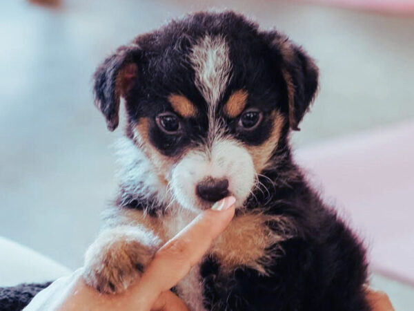 Sàbado 27 de Diciembre • Recoleta • Montevideo 1035