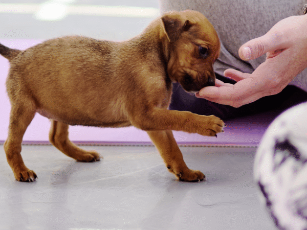 Sàbado 28 de Febrero• Recoleta • Montevideo 1035