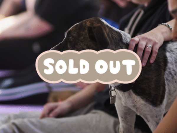 Clase 12 de  Octubre • 15:15 -16:15 • Recoleta