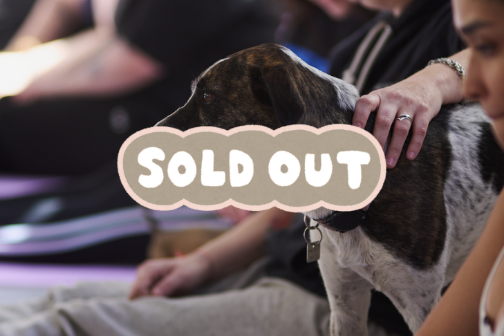 Clase 27 de  Septiembre • 16:30 -17:30 • Palermo