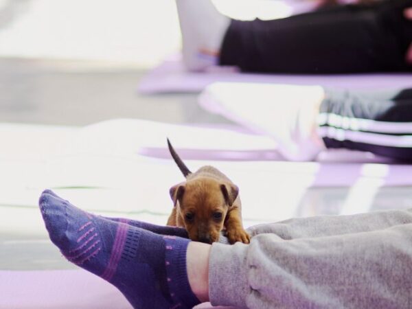 Sabado 22 de Noviembre • Recoleta • Montevideo 1035