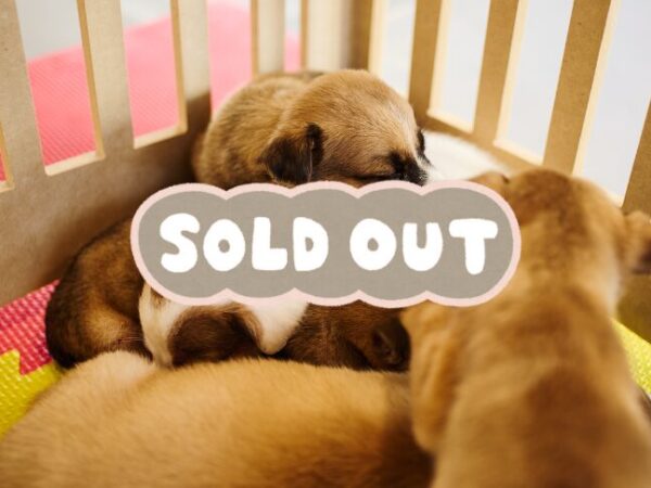 Sàbado 13 de Diciembre • Palermo • Guatemala 5011