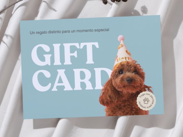 Regalá una experiencia única