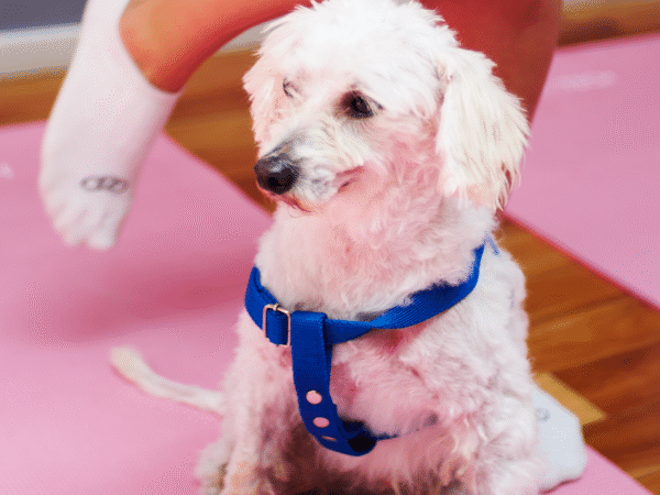 Sàbado 7 de Marzo • Palermo • Guatemala 5011