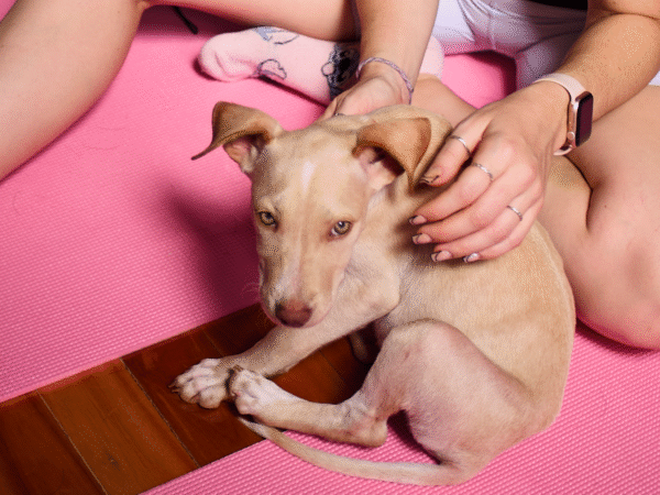 Domingo 8 de Marzo • Palermo • Guatemala 5011