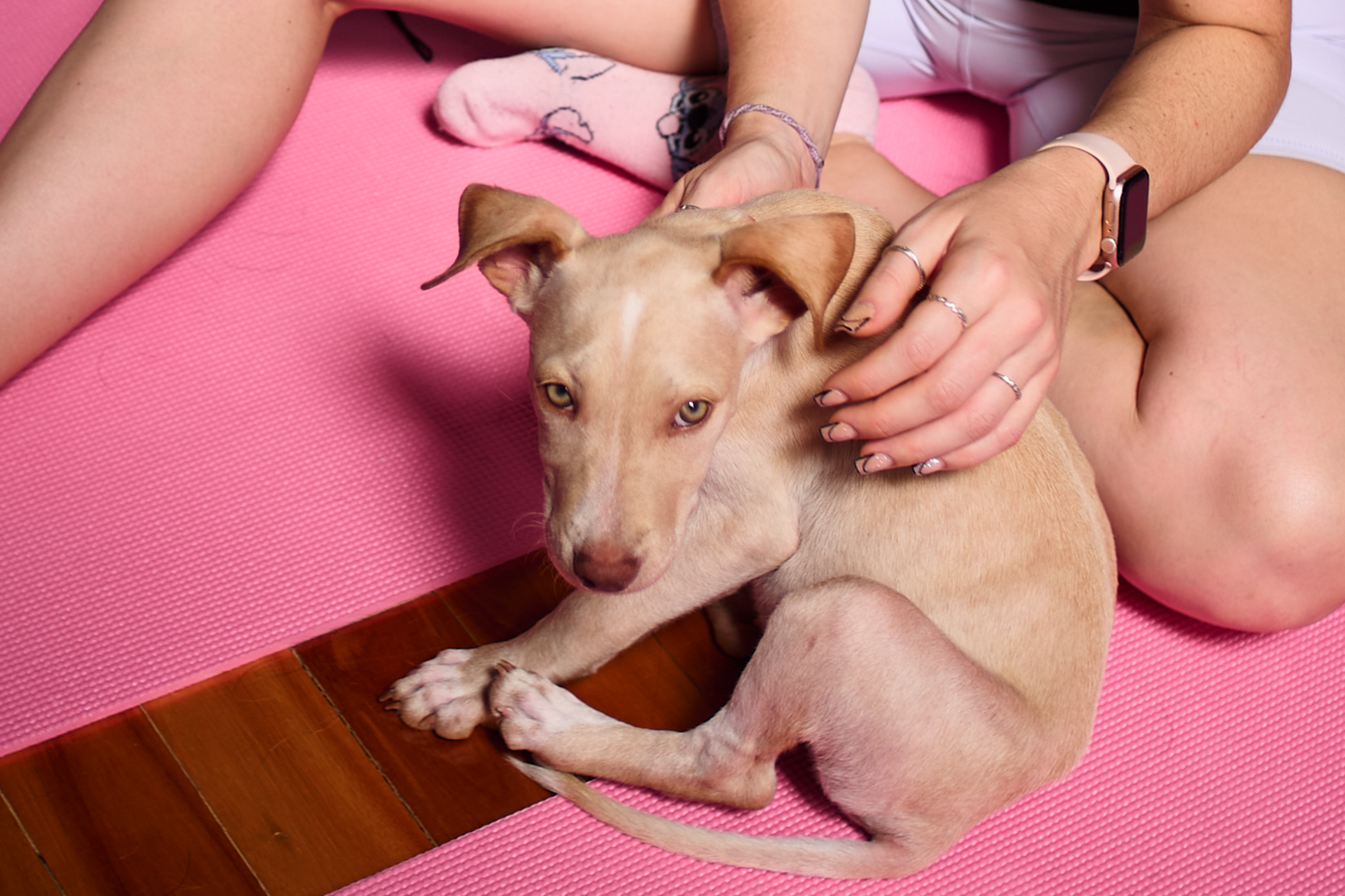 Domingo 8 de Marzo • Palermo • Guatemala 5011