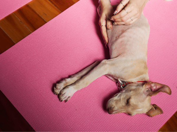 Sàbado 21 de Marzo • Recoleta • Montevideo 1035